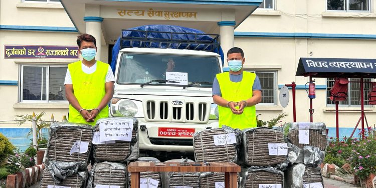 सुनसरीमा एक सय १९ केजी गाँजासहित दुई पक्राउ