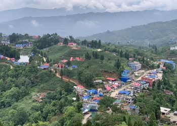 तस्बिरमा हेर्नुहोस् इलामको अन्तुमा रहेको पोखरी र चिया बगान
