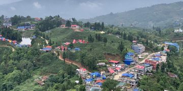 तस्बिरमा हेर्नुहोस् इलामको अन्तुमा रहेको पोखरी र चिया बगान
