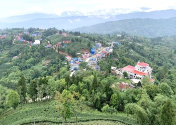 तस्बिरमा हेर्नुहोस् इलामको अन्तुमा रहेको पोखरी र चिया बगान