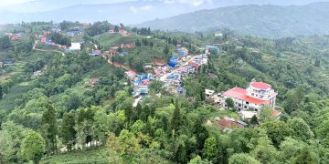 तस्बिरमा हेर्नुहोस् इलामको अन्तुमा रहेको पोखरी र चिया बगान