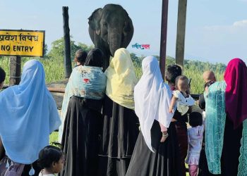 कोशी टप्पुमा हात्ती नियाल्दै आन्तरिक पर्यटकहरू