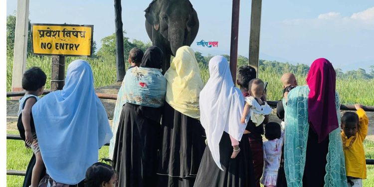 कोशी टप्पुमा हात्ती नियाल्दै आन्तरिक पर्यटकहरू