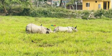 कोशी टप्पुको वातावरणमा रत्तिइरहेका पुष्पा र अञ्जली
