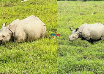 कोशी टप्पुको वातावरणमा रत्तिइरहेका पुष्पा र अञ्जली