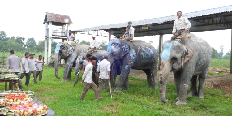 कोशी टप्पुमा विश्व हात्ती दिवस मनाइयो (७ तस्बिरसहित)