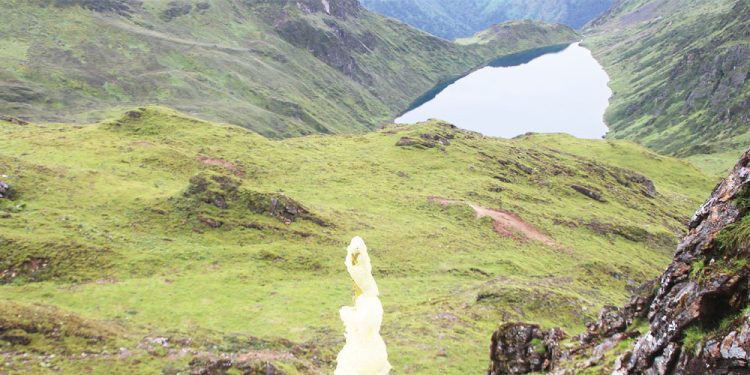 केन्जो फूलसँगै ताप्लेजुङको लामपोखरी