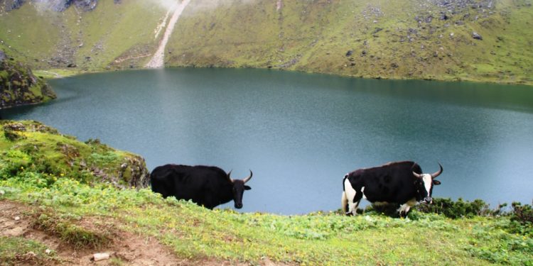 रंग बदल्ने ताप्लेजुङको अनौठो छ्यो थाङ्गी छ्यो पोखरी, पर्यटकको रोजाइमा