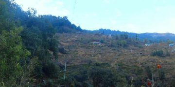 भोजपुरमा केन्द्रीय विद्युत् विस्तार