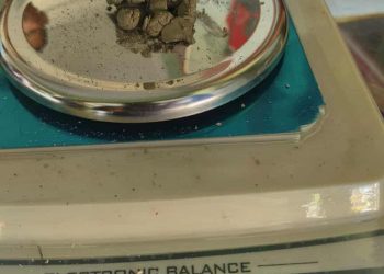 सुनसरीको रामधुनीमा ब्राउनसुगरसहित दुई युवक पक्राउ