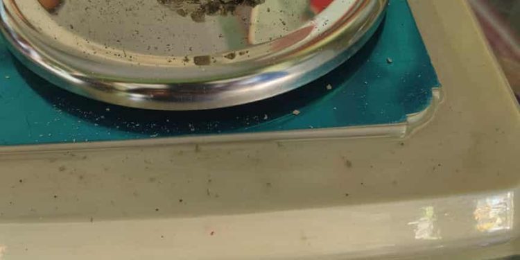 सुनसरीको रामधुनीमा ब्राउनसुगरसहित दुई युवक पक्राउ