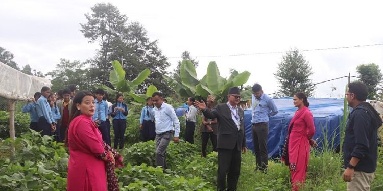 ‘पढ्दै–कमाउँदै’ कार्यक्रम खारेज भएपछि प्राविधिक तथा सीपमूलक शिक्षा सञ्चालनमा समस्या