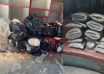 धरानमा मध्यराति १०–११ जना भरियाहरूले ओसार्छन् गाँजा, इटहरीमा पक्राउ परे दुई युवक