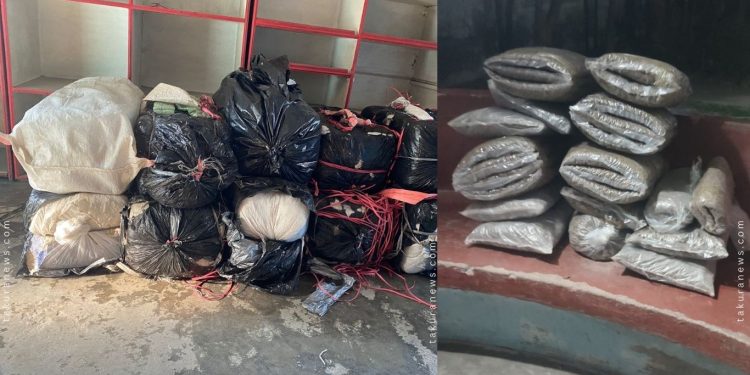 धरानमा मध्यराति १०–११ जना भरियाहरूले ओसार्छन् गाँजा, इटहरीमा पक्राउ परे दुई युवक