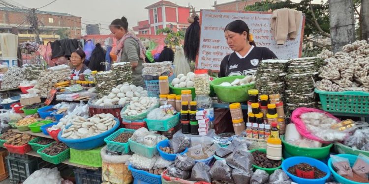 पहाडबाट झरेर इटहरीमा जडीबुटी व्यवसाय, राम्रो आम्दानी