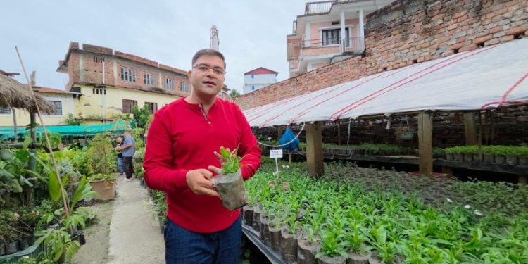 इटहरीका अधिकारी फूल र बिरुवाको व्यवसायमार्फत आत्मनिर्भर