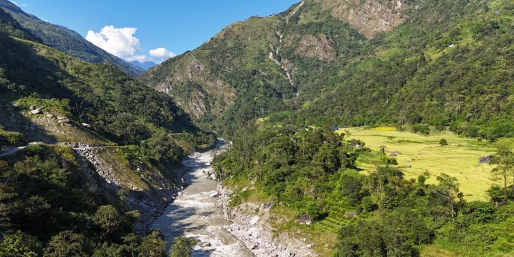 एक हजार ६३ मेगावाटको माथिल्लो अरुण आयोजनाका लागि दुई हजार बढी रूख काटियो