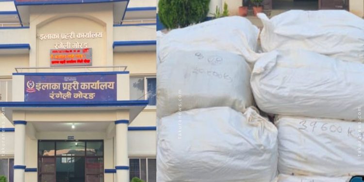 मोरङमा ९ सय २१ किलो गाँजा बरामद