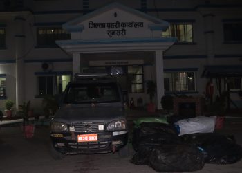 सुनसरीमा स्कारपियो छाडेर फरार चालक, ४६० केजी गाँजा बरामद