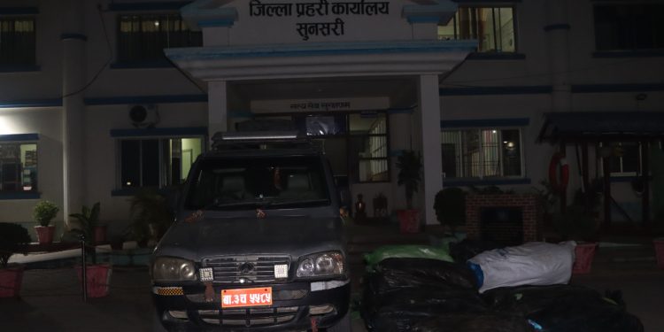सुनसरीमा स्कारपियो छाडेर फरार चालक, ४६० केजी गाँजा बरामद