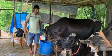 पसिनाले सिञ्चिएको सपना : तिवारीको कृषि फार्मको तीन लाखदेखि एक करोडसम्मको यात्रा