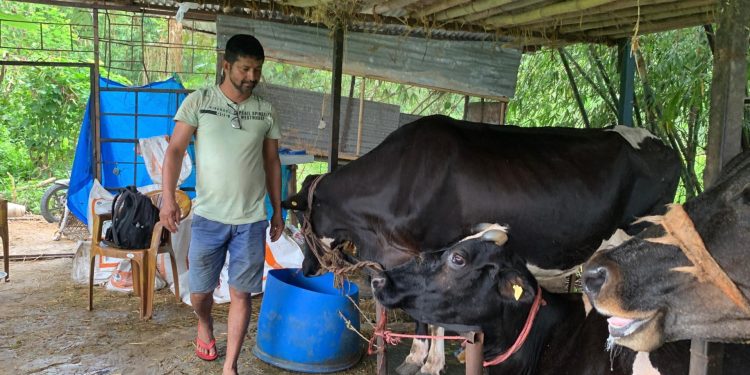 पसिनाले सिञ्चिएको सपना : तिवारीको कृषि फार्मको तीन लाखदेखि एक करोडसम्मको यात्रा