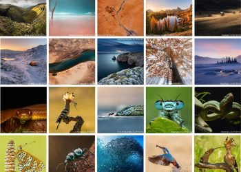 अन्तर्राष्ट्रिय प्रतियोगितामा तरहराका निशान शर्माको फोटो विश्वव्यापी दशौँ स्थानमा