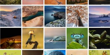 अन्तर्राष्ट्रिय प्रतियोगितामा तरहराका निशान शर्माको फोटो विश्वव्यापी दशौँ स्थानमा