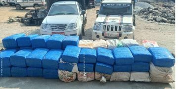 धरानबाट ९५५ केजी गाँजासहित दुई जना पक्राउ