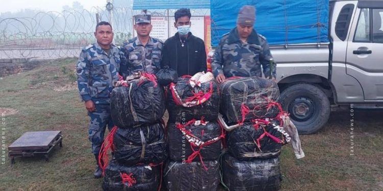 मोरङमा खाल्डो खनेर लुकाइएको २७५ किलो गाँजा बरामद