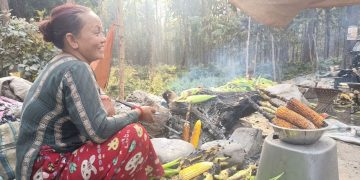 पोलेको मकैको मुख्य केन्द्र बन्यो मोरङको भाउन्ने, बाह्रै महिना माग
