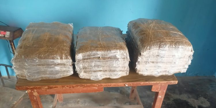 धरानमा ३० केजी गाँजासहित एक युवक पक्राउ