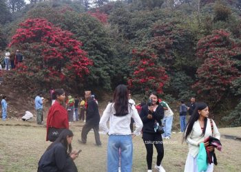 टिएमजे क्षेत्रमा गुराँस फुलेपछि पर्यटकको चहलपहल