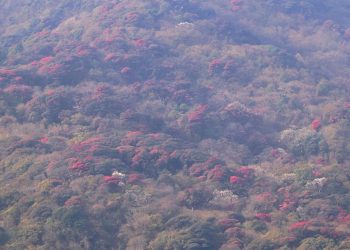प्रकृतिप्रेमीका लागि अनुपम उपहार ‘मुन्दुम ट्रेल’