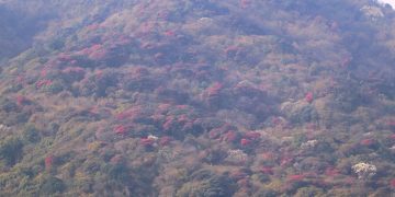 प्रकृतिप्रेमीका लागि अनुपम उपहार ‘मुन्दुम ट्रेल’