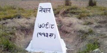 झापाको पाठामारीमा दशगजा क्षेत्र खाली गराउन चिया खेती हटाइयो