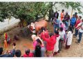 महायज्ञबाट जुटेको रकमले बन्यो गौमाताको प्रतिमा