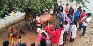 महायज्ञबाट जुटेको रकमले बन्यो गौमाताको प्रतिमा