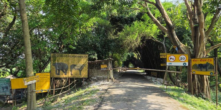 अर्नादेखि डल्फिनसम्मको आश्रयस्थल कोशी टप्पु, पूर्वाधार अभावले पर्यटन सुस्त