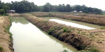 लागतको चापले झापाको माछापालन व्यवसाय सङ्कटमा
