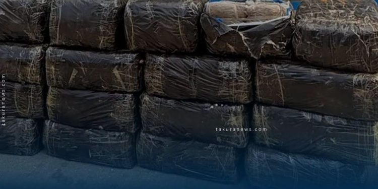 मोरङमा एक टनभन्दा बढी गाँजा बरामद