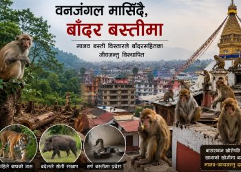 वन्यजन्तुबाट मानव होइन, मानवबाट वन्यजन्तुचाँहि पीडित !