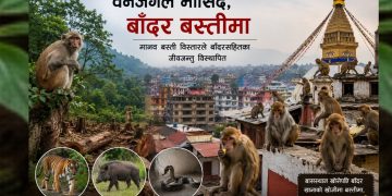 वन्यजन्तुबाट मानव होइन, मानवबाट वन्यजन्तुचाँहि पीडित !