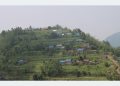 खोटाङ : किरात संस्कृतिसँगै स्थानीय परिकारको स्वाद चखाउँदै पुमा होमस्टे