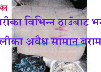 सुनसरीका विभिन्न ठाउँबाट भन्सार छलीका अवैध सामान बरामद