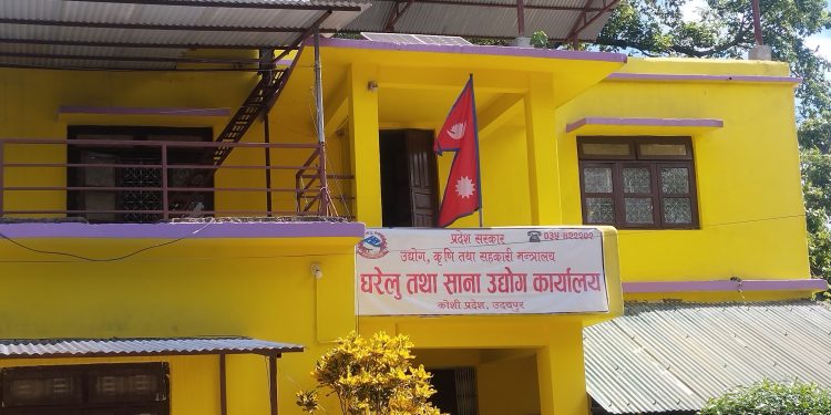दर्ता भएका उद्योग सञ्चालन नहुँदा करेाडाैँ राजस्व गुम्दै, राेजगारीमा बाधा