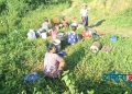 जमिन भासिएर पहिरो : तीन घर बगे, त्रासमा गाउँ
