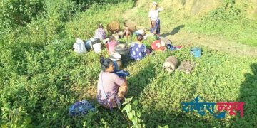 जमिन भासिएर पहिरो : तीन घर बगे, त्रासमा गाउँ