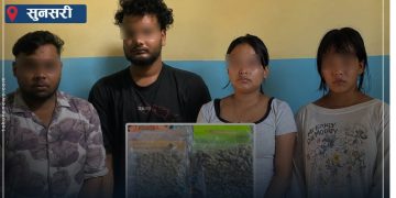 हुलाकको पार्सलबाट थाई गाँजा बरामद, इटहरी र धरानबाट चार पक्राउ