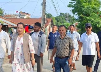 विकासनिर्माणमा उपसभामुख दनुवारकाे दाैडधूप